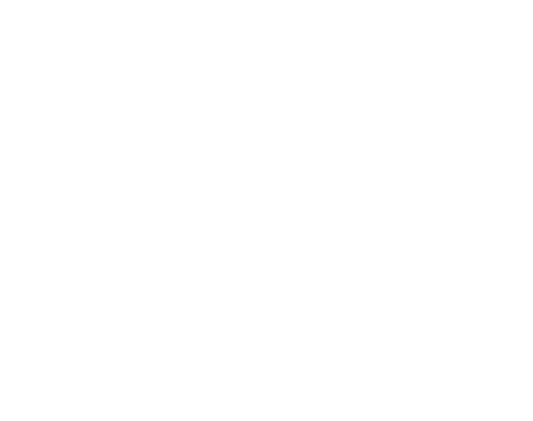 The Cabinet Shoppe logo